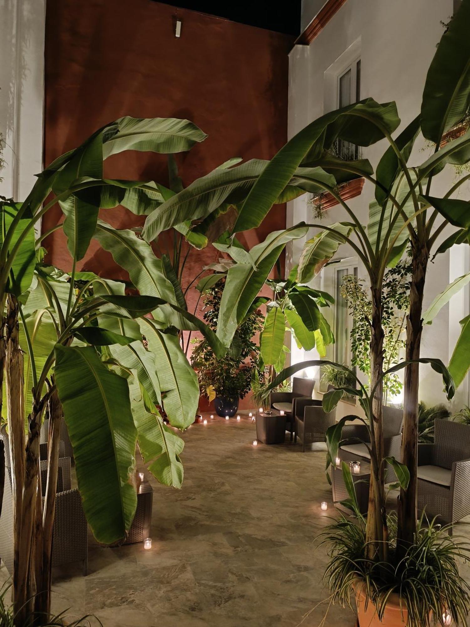 Apartamentos Turisticos Casa De Los Balcones チピオナ 部屋 写真
